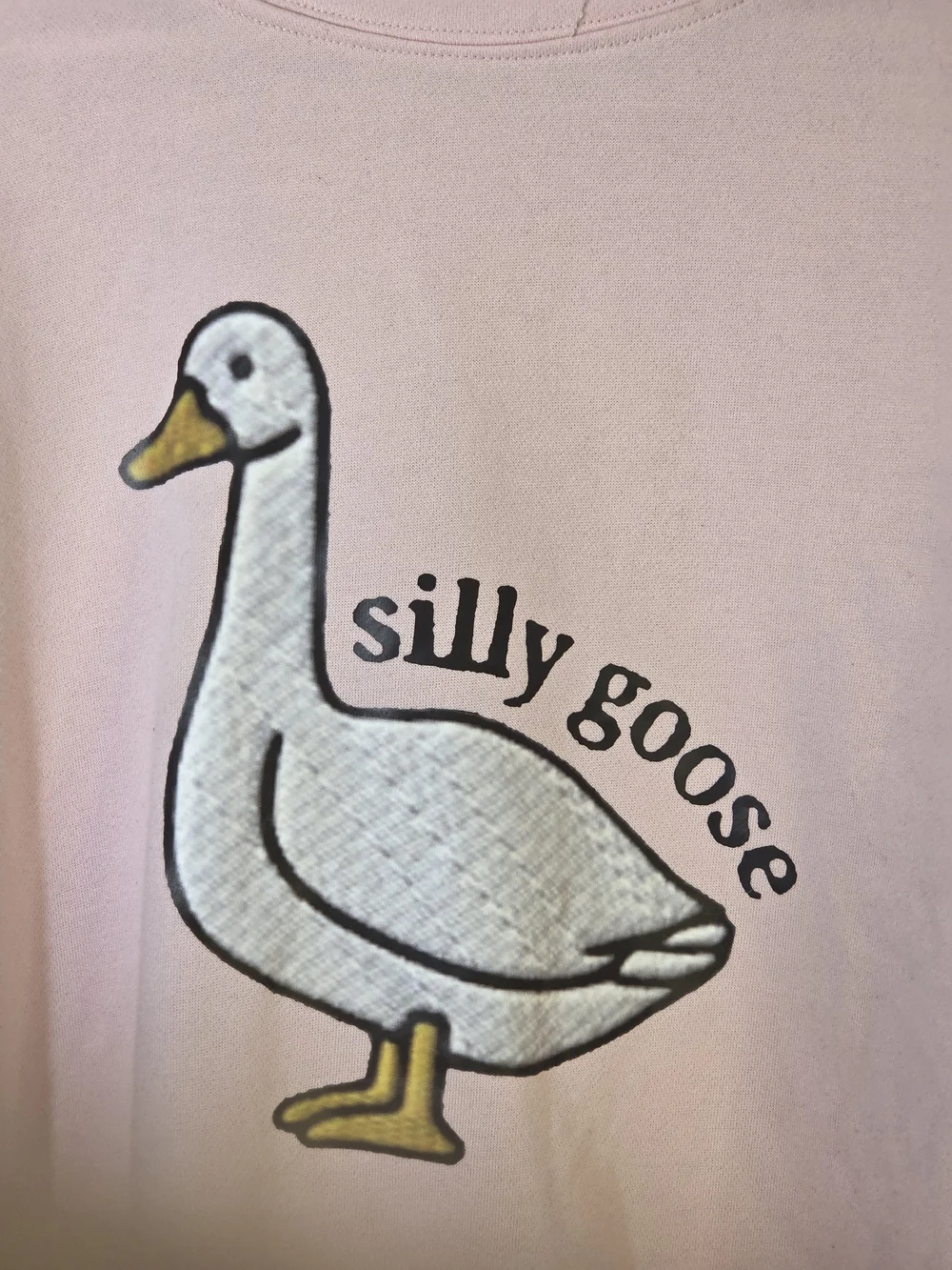 Source Unknown Pink 'Silly Goose' Crewneck Sweatshirt - Picture 3 of 8